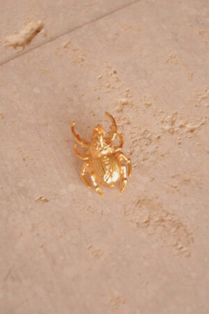 15.-escarabajo-gold-scaled-1.jpg