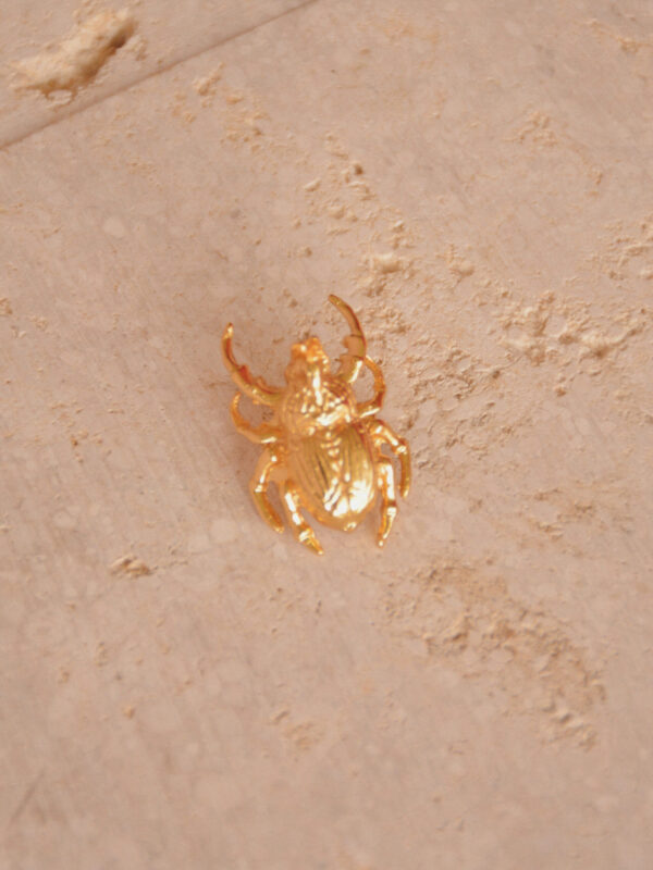 Pin Escarabajo