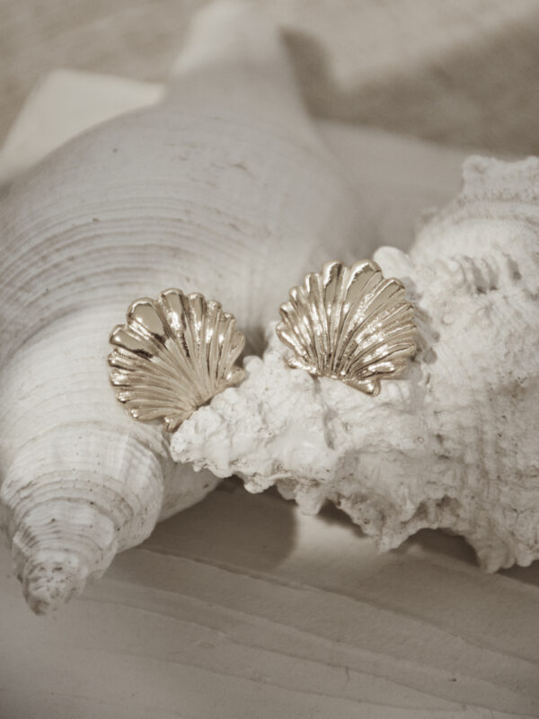 Aretes La Concha Silver