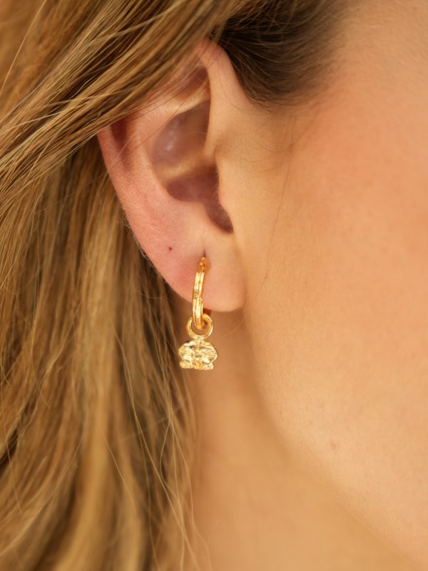 Set Aretes Florecida