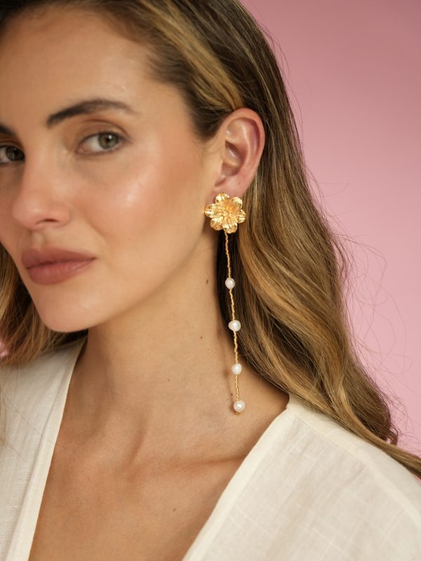 Aretes Entre Flores